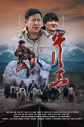 如何找到当地的字母圈