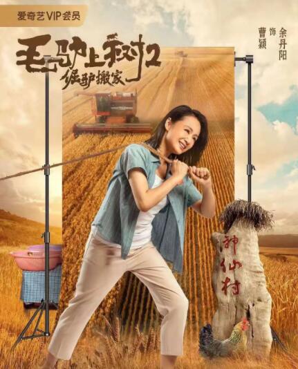 贪婪D